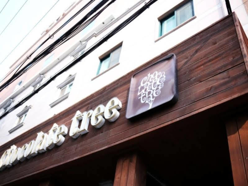 Chocolate Tree Sinchon Guest house